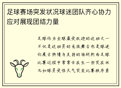 足球赛场突发状况球迷团队齐心协力应对展现团结力量